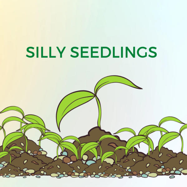 Silly Seedlings Saturdays